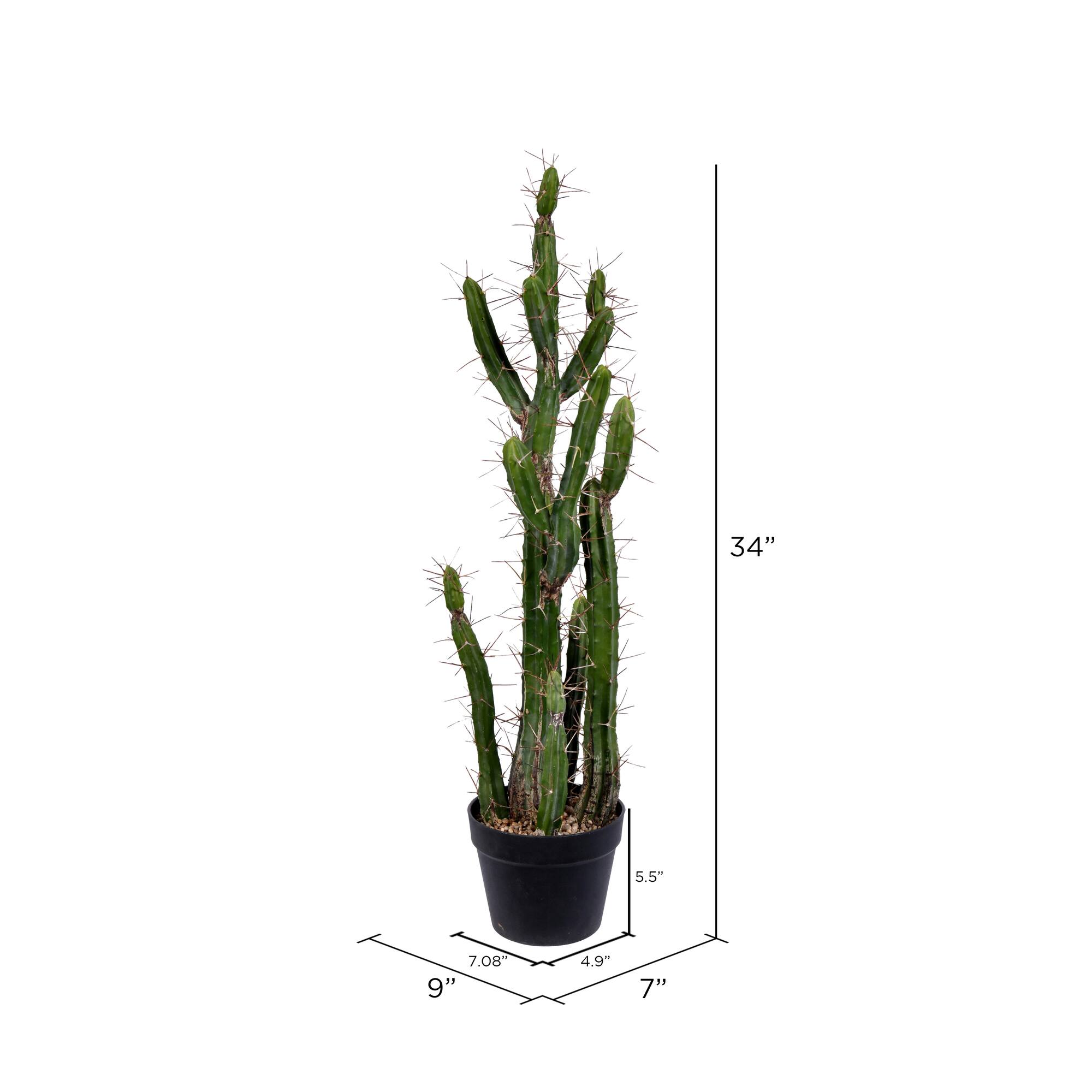 3ft. Potted Green Cactus